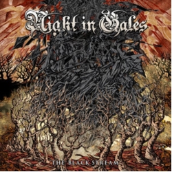 Night In Gales The Black Stream Vinyl LP