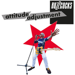 Buzzcocks Attitude Adjustment VINYL LP
