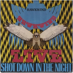 Hawkwind Shot Down In The Night 10 VINYL 10INCH