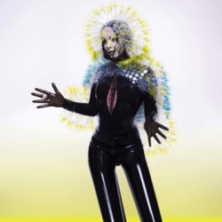 Bjork Vulnicura VINYL LP