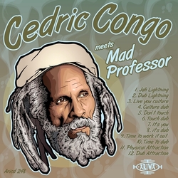 Mad Professor Meets Cedric Myton Ariwa Dub Showcase Vinyl LP
