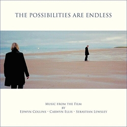Edwyn Collins / Carwyn Ellis / Sebastian Lewsley The Possibilities Are Endless - Original Soundtrack VINYL 12INCH