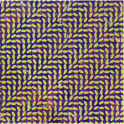 Animal Collective Merriweather Post Pavillion Vinyl LP