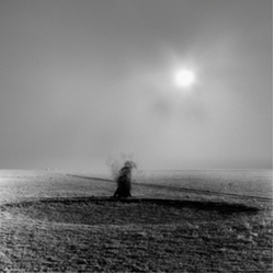 Leo Svirsky Heights In Depths Depths In Heights VINYL LP