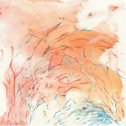 Tiger Hatchery Live In New Haven Feat Paul Flaherty VINYL LP