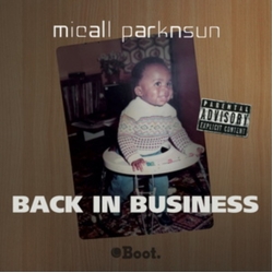 Micall Parknsun Back In Business VINYL 12INCH