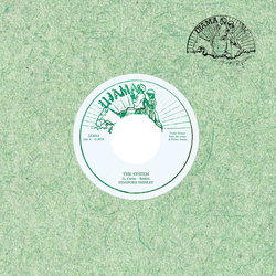 Stanford Shirley The System VINYL 7INCH
