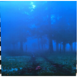 Various Commune Vinyl