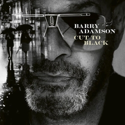 Barry Adamson Cut To Black VINYL LP