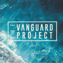 Vanguard Project Stitches / What U Do Remixes VINYL 10INCH