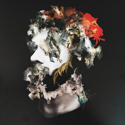 Ash Koosha I Aka I VINYL LP