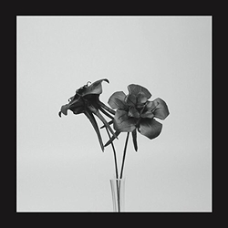 Jlin Dark Lotus VINYL 12INCH