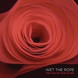 Wet The Rope The Sum Of Our Scars VINYL LP