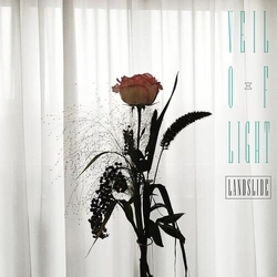 Veil Of Light Landslide Vinyl LP