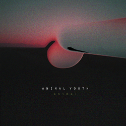 Animal Youth Animal VINYL LP
