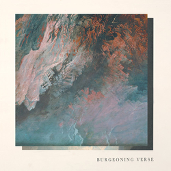 Ben Chisholm & Felix Skinner Burgeoning Verse VINYL 12INCH