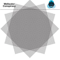 The Wellwater Conspiracy Lucy Leave / Sleeveless Vinyl
