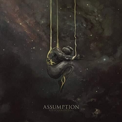 Assumption Absconditus Vinyl LP