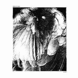 Domenico Crisci Velvet Vinyl 12"