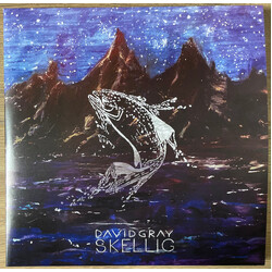David Gray Skellig