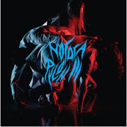 Nordra Pylon Iii VINYL LP
