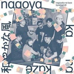Various Artists Nagoyaka Na Kaze / Quiet Wind VINYL LP