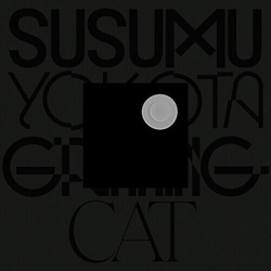 Susumu Yokota Grinning Cat SKINTONE EDITION VINYL 12INCH