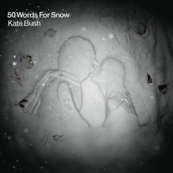 Kate Bush 50 Words For Snow 2018 REMASTER VINYL LP