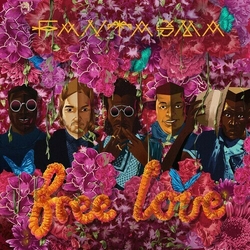 Fantasma Free Love VINYL LP