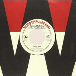 James Mcarther & The Head Gardners Tourist Town / Plane Sailors VINYL 7INCH
