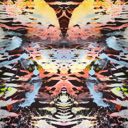 Lost Dawn Lost Dawn