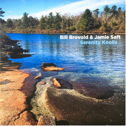 Brovold Brovold / Jamie Saft Serenity Knolls VINYL LP