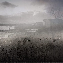 Joshua Trinidad In November Vinyl LP