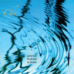 Dave Liebman / Adam Rudolph / Hamid Drake Chi VINYL LP