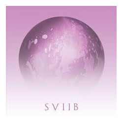 School Of Seven Bells SVIIB Vinyl LP