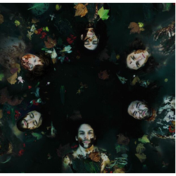 Mothers Earth Experiment The Mothers Earth Experiment VINYL LP