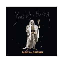 Birds Of Britain And Louisa Young You Left Early VINYL LP