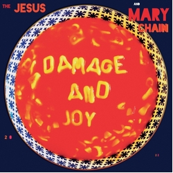 Jesus And Mary Chain Damage And Joy ULTRA CLEAR VINYL INDIE EXCLUSIVE VINYL LP