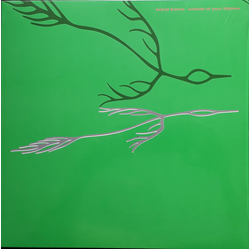 Astrid Sonne Outside Of Your Lifetime Vinyl LP