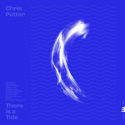 Chris Potter There Is A Tide VINYL LP