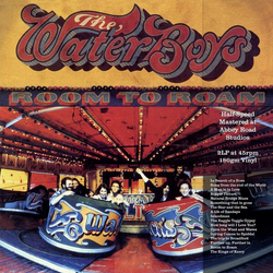 Waterboys Room To Roam (Half Speed Master) Vinyl LP