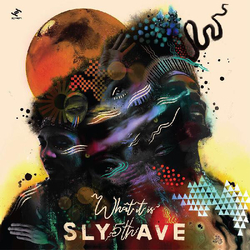 Sly5Thave What It Is VINYL LP