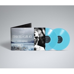 David Gray Life In Slow Motion 20TH ANNIVERSARY EDITION VINYL LP