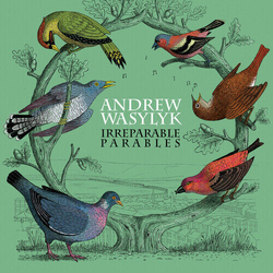 Andrew Wasylyk Irreparable Parables VINYL LP