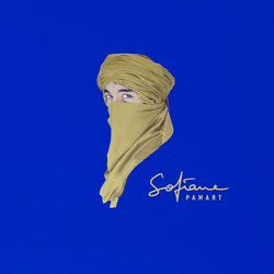 Sofiane Pamart Planet Gold Vinyl LP