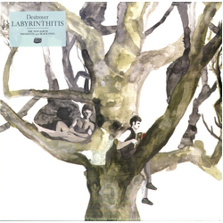 Destroyer Labyrinthitis VINYL LP