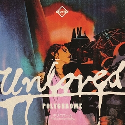 Unloved Polychrome THE PINK ALBUM POSTLUDE VINYL LP