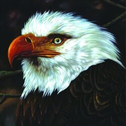 Mogwai The Hawk Is Howling Vinyl LP
