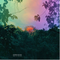Kosmo Sound Fruit Of The Void VINYL LP