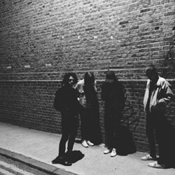 Fews Means VINYL LP